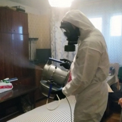 Дезинфекция от клопов в Апрелевке