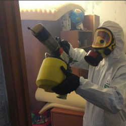 Уничтожение клопов в квартире. Апрелевка